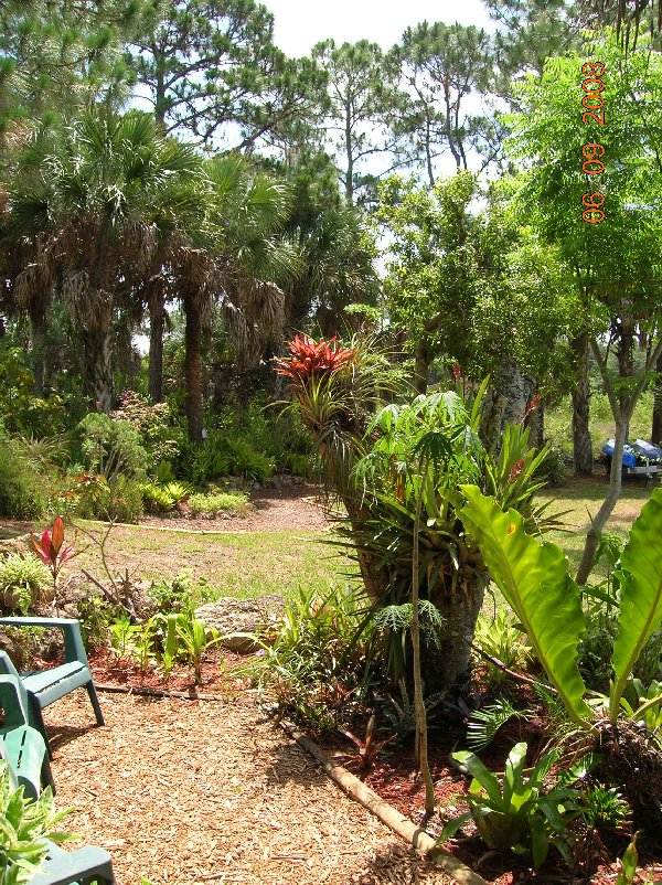 Sanctuary without the Wax Myrtle